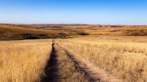 Кочевая жизнь #66 часть