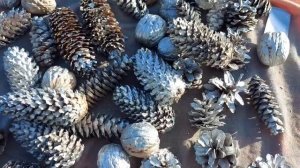 КРЕАТИВНАЯ ЁЛКА  🌲🌲🌲 СВОИМИ РУКАМИ