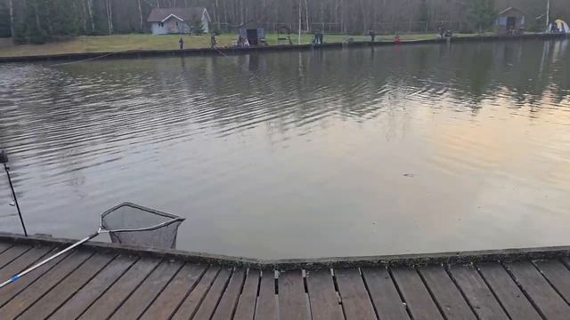 Донка. Основной водоём. смотреть онлайн