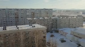 Что растёт на подоконнике.