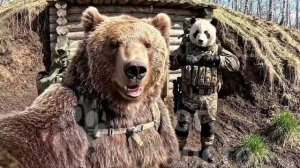 Влог Косолапого #13