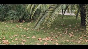 Сити парк отель СочиМы в  шокеЗавтрак,ужин