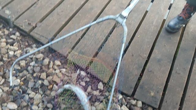 Основной водоём. смотреть онлайн