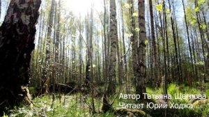 Родина. Автор Татьяна Щеглова. Читает Юрий Ходжа.