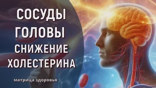 ИСЦЕЛЕНИЕ ГОЛОВЫ И СОСУДОВ*СНИЖЕНИЕ ХОЛЕСТЕРИНА*Уникальная Исцеляющая Матрица Здоровья смотреть онлайн