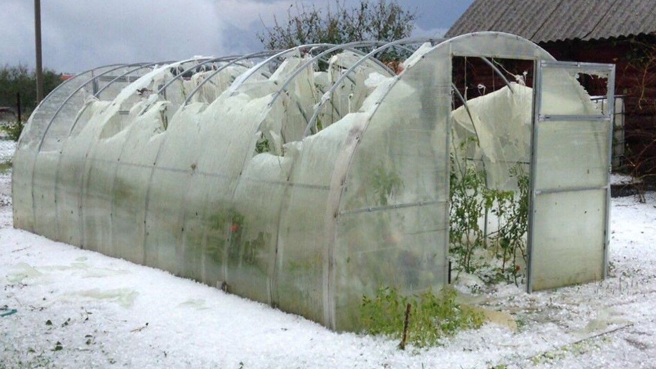 Снег повредил парник, это не повод для печали, это возможность усовершенствовать парник. смотреть онлайн