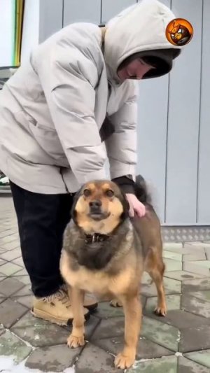 Видео от МЭН - Мне Это Нравится