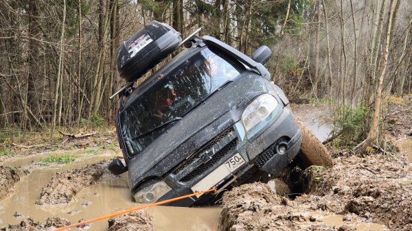 Стоковые нивы на лютом маршруте