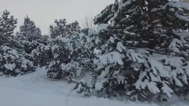 Ты зачем зима зачем .Зима в Красноярске .Парк Победителей смотреть онлайн