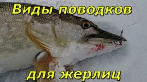 Виды поводков для жерлиц.