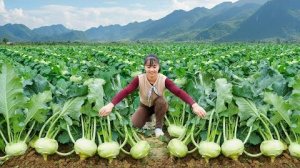 Хуонг нарубила, 500 клубней кольраби на «Зелёной ферме», еду на сельский рынок чтобы продать.