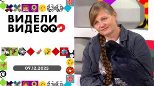 Видели видео? Выпуск от 07.12.2025