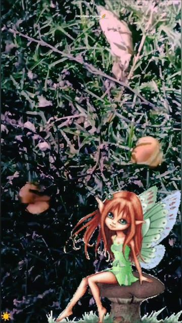 #осенние #грибочки #ноябрь2025год #мояпрогулка #событиедня #4ноября2025год смотреть онлайн