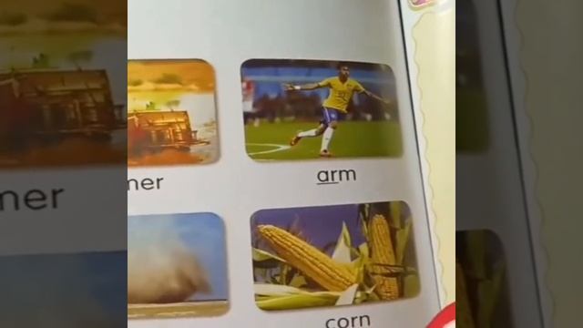 1000003769.mp4 смотреть онлайн