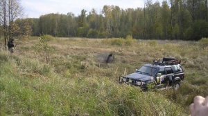 Тигги -рекорд России