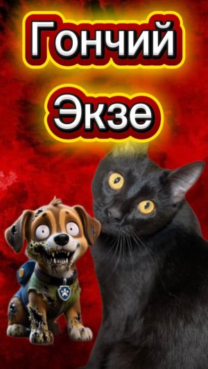 Реальный злой Гончий у меня дома 🙀 #кот #кошка #котики #животные #ужасы #страшно #щенячийпатруль