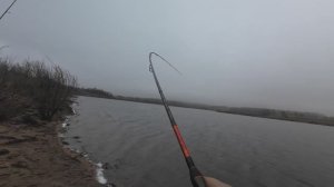 Эти приманки ловят. Снова крокодил подсел.