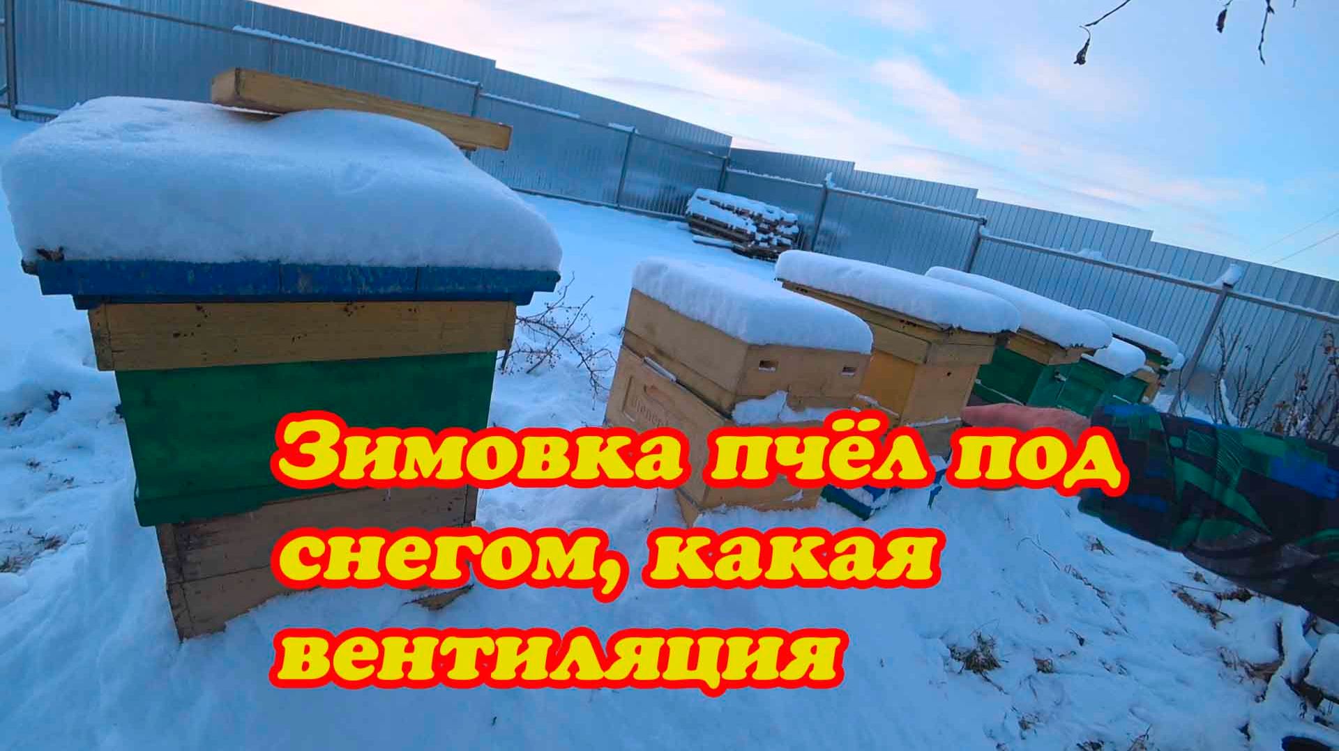 КАК ОРГАНИЗОВАТЬ ЗИМОВКУ ПЧЁЛ ПОД СНЕГОМ, ВЕНТИЛЯЦИЯ С ПРИХОДОМ ХОЛОДА И СНЕГА. смотреть онлайн