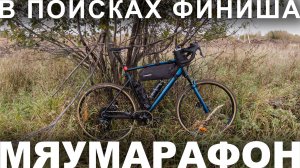 Мяумарафон на Stinger Gravix FS-1 a.k.a. Катюша — в поисках финиша