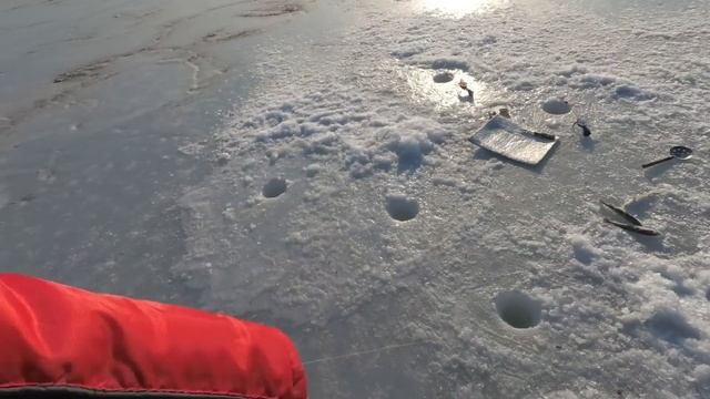 ОЧЕНЬ ТРУДОВАЯ РЫБАЛКА НА ЖЕЛЕЗО И НАЖИВКУ, НО СВОЁ ВЗЯЛ #рыбалкасольда #рыбалка #жекарыболов смотреть онлайн