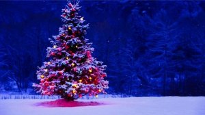 Anya May - В лесу родилась ёлочка 🎄🎵