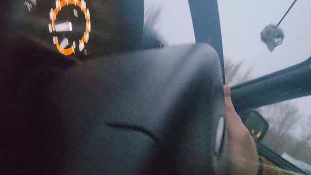 скрип руля Niva Bronto 2025