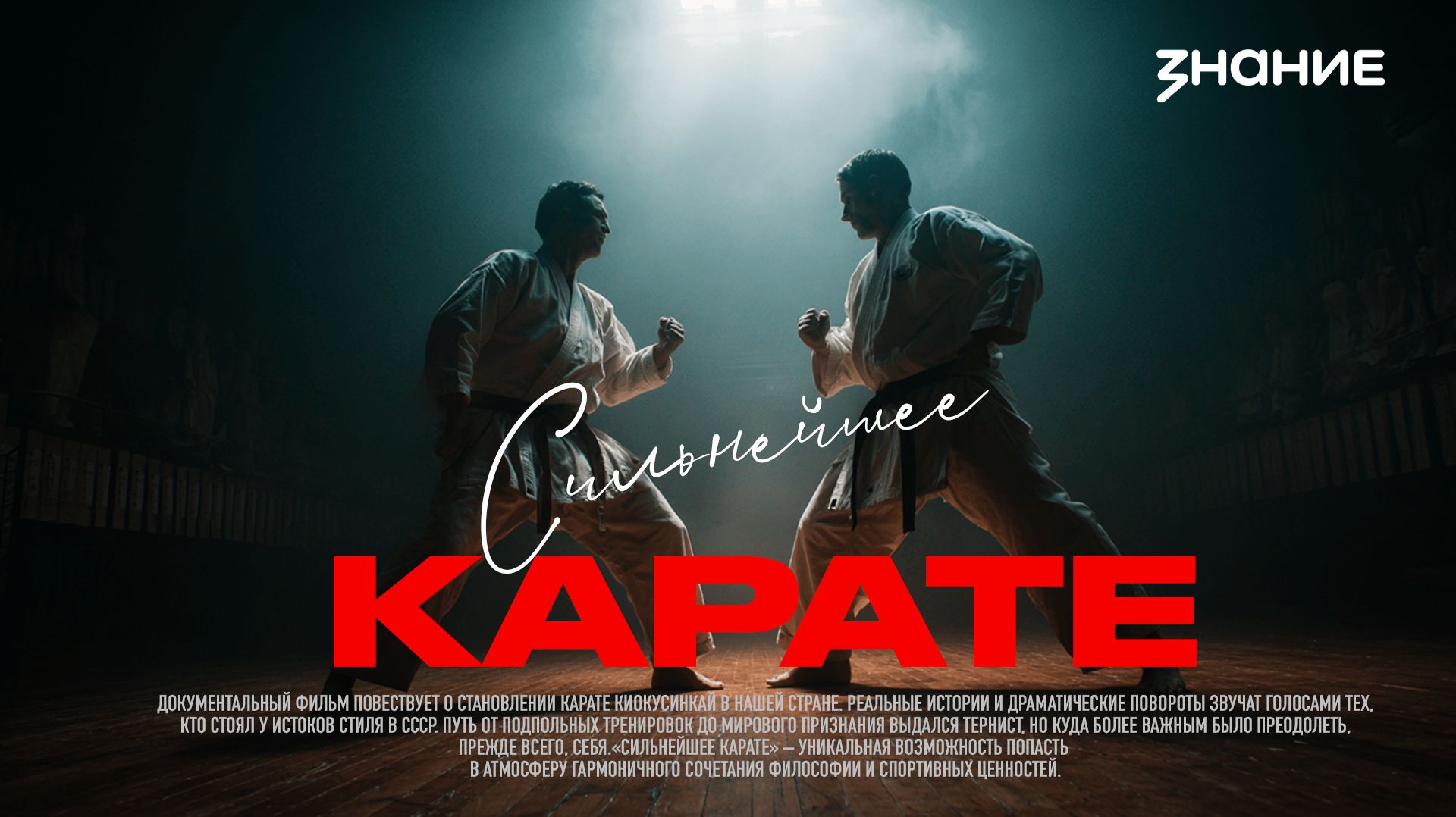 Сильнейшее карате смотреть онлайн