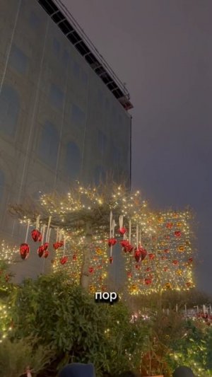 Наше приключение в Новогодней Москве