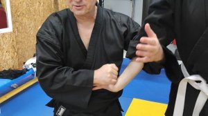 джиу-джитсу феникс