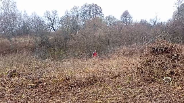 07-12-2025 субботник смотреть онлайн