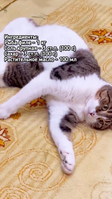 Малосольная горбуша сухого посола. Рецепт смотреть онлайн