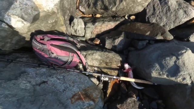 КУДА ПРОПАЛ / КРАТКИЙ ОТЧЁТ С РЫБАЛОК смотреть онлайн