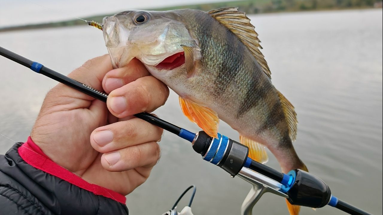 Эффективный мормышинг с GAMMARUS NANO SPIN MSK 0.1-0,6 gr 1.86m смотреть онлайн