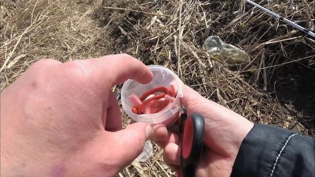 Крупная краснопёрка Угай на морского и силиконового червя. Large fish on the river. смотреть онлайн