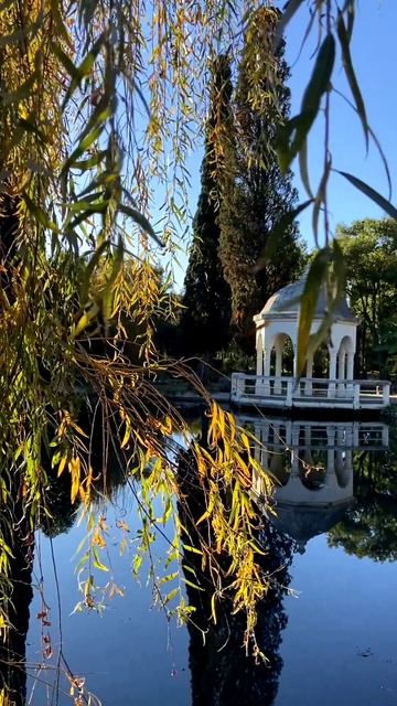 Абхазия, Новоафонский Приморский парк сегодня утром (8 декабря, ЗИМА 2025-2026) смотреть онлайн