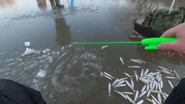РЫБАЛКА СО ЛЬДА ОПАСНЫЙ ПЕРВЫЙ ЛЁД 2021 - 2022 #рыбалка #жекарыболов #рыбалкасольда смотреть онлайн