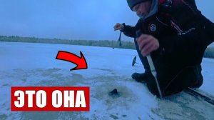 Оставил жерлицы на ночь такого не ожидал! Рыбалка пошла не по плану! Первый лед подводная съемка