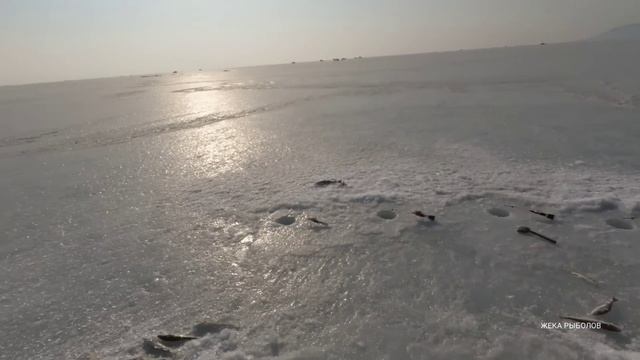 ЗИМНЯЯ РЫБАЛКА в Приморье 2024. Ловля НАВАГИ на море. смотреть онлайн