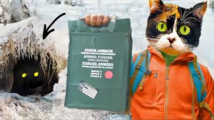 НАС ОБОКРАЛИ В ЛЕСУ ВО ВРЕМЯ СЬЕМОК ИТАЛЬЯНСКОГО ПАЙКА!