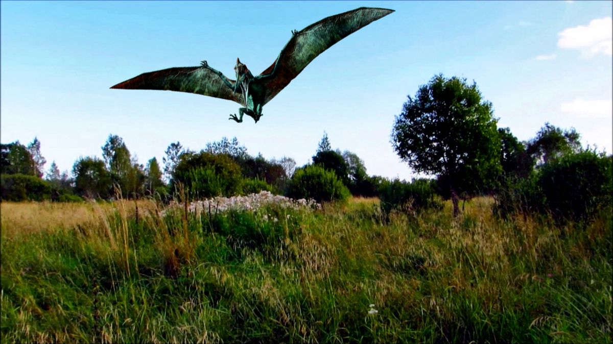 В заросшем поле смотреть онлайн