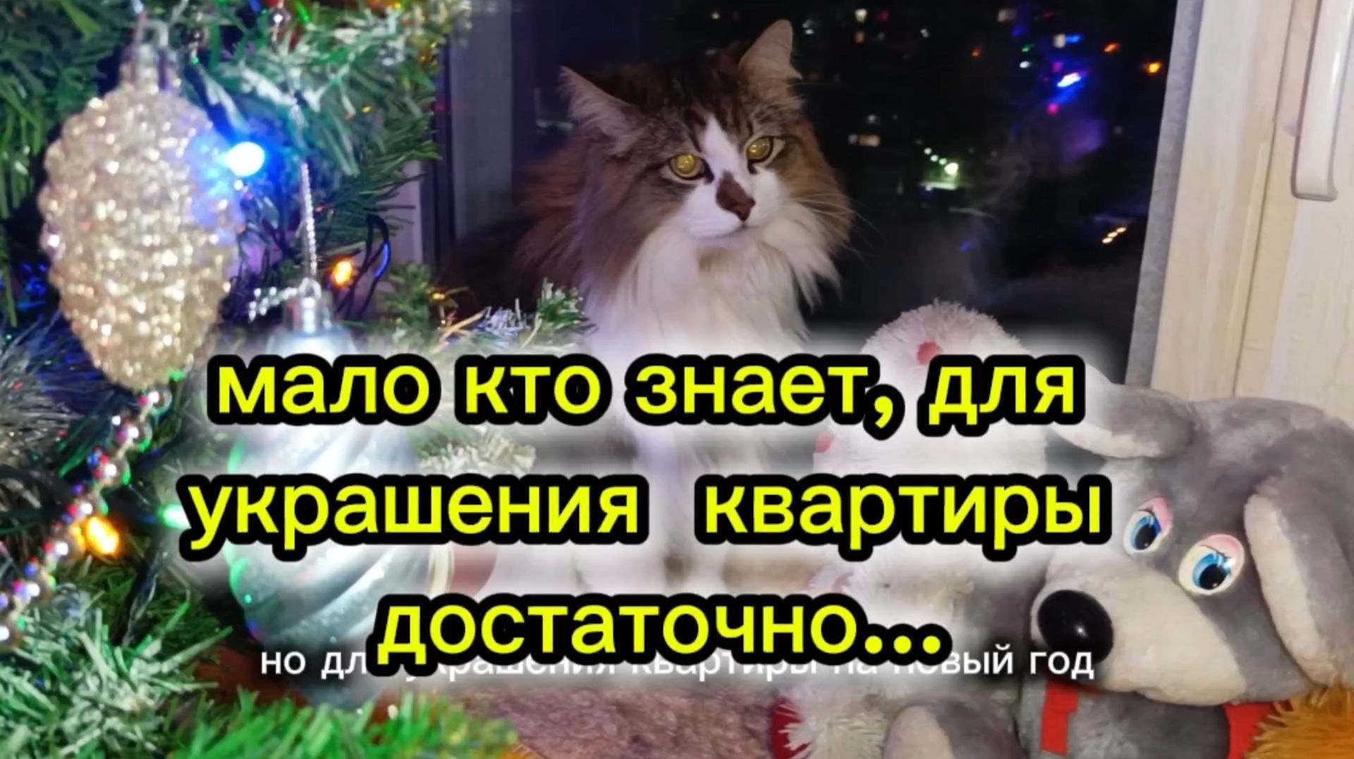 Кошки с озвучкой. смотреть онлайн