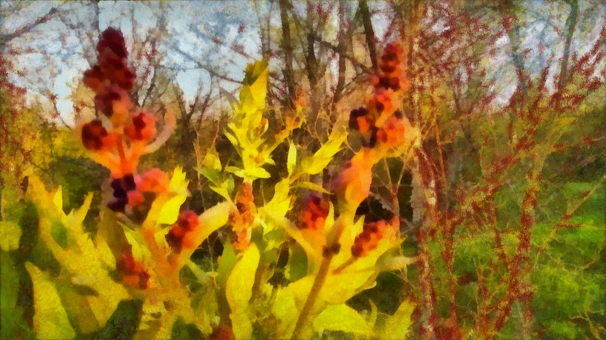 Май. Скоро расцветёт сирень!!! смотреть онлайн