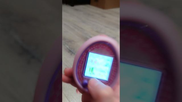 Играю в тамагочи
