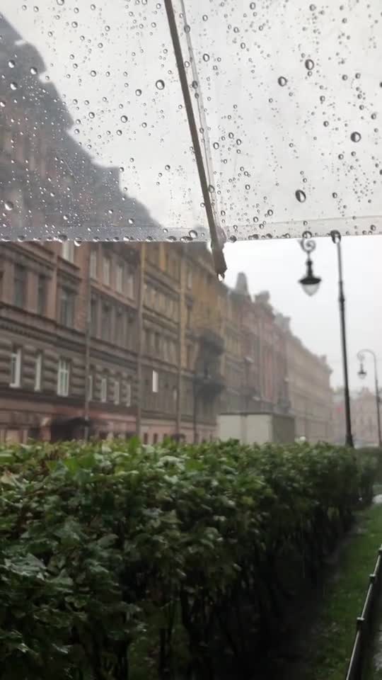 Подпишись 👉 👉 https://kamennyi-zver.ru смотреть онлайн