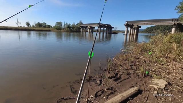 Первый выезд на САЗАНА. РАЗВЕДКА смотреть онлайн
