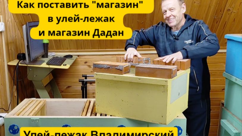 Как поставить "магазин" в улей-лежак Якимова, сравниваем с корпусными ульями смотреть онлайн