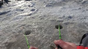 ЗИМНЯЯ РЫБАЛКА 2024 на местной речке