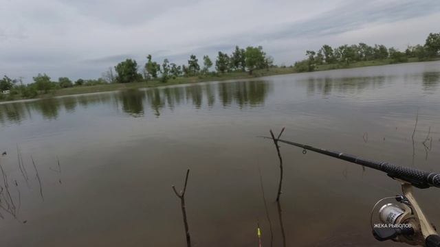 РЫБАЛКА НА НОВОМ МЕСТЕ / ЭТА НАСАДКА НЕ ОСТАВИТ БЕЗ УЛОВА смотреть онлайн