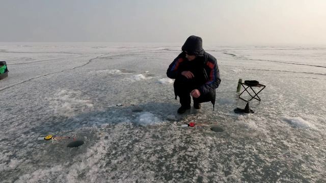 Рыбалка Седанка навага на комбайны и булера Full HD смотреть онлайн