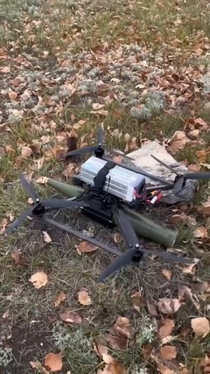 СВО👉ЖМИ (КАДРЫ 21+)👈